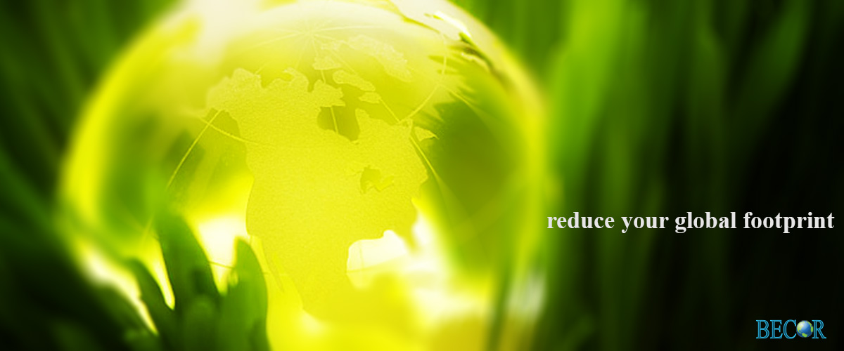 Eco Friendly Cleaning Options