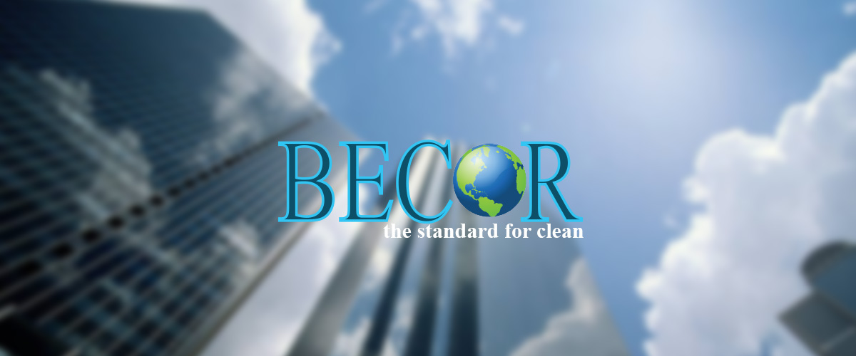 Eco Friendly Cleaning Options